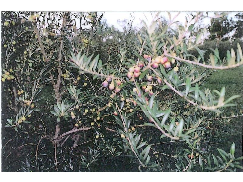 Esk QLD 4312