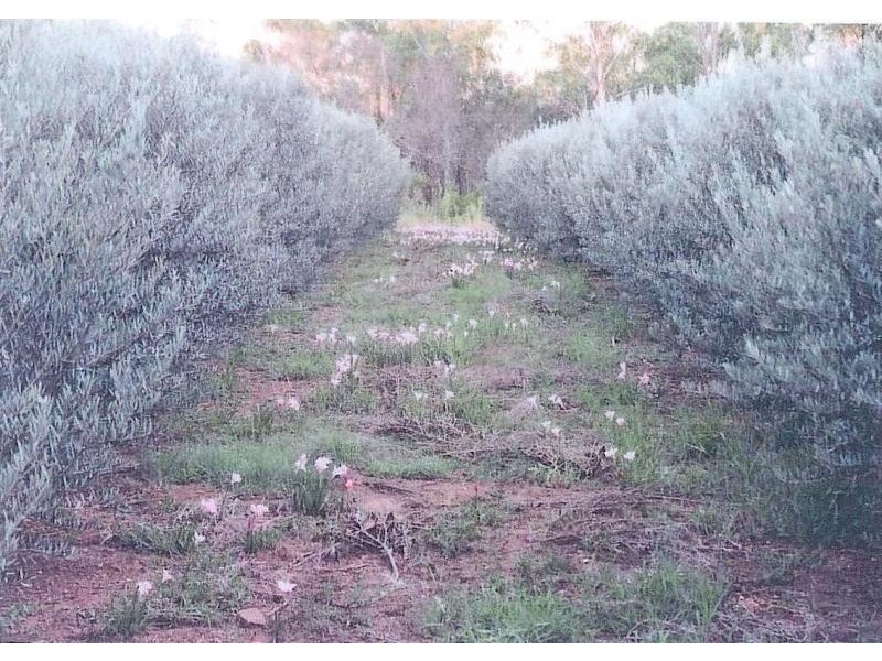 Esk QLD 4312