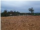 Muirlea QLD 4306