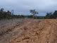 Muirlea QLD 4306
