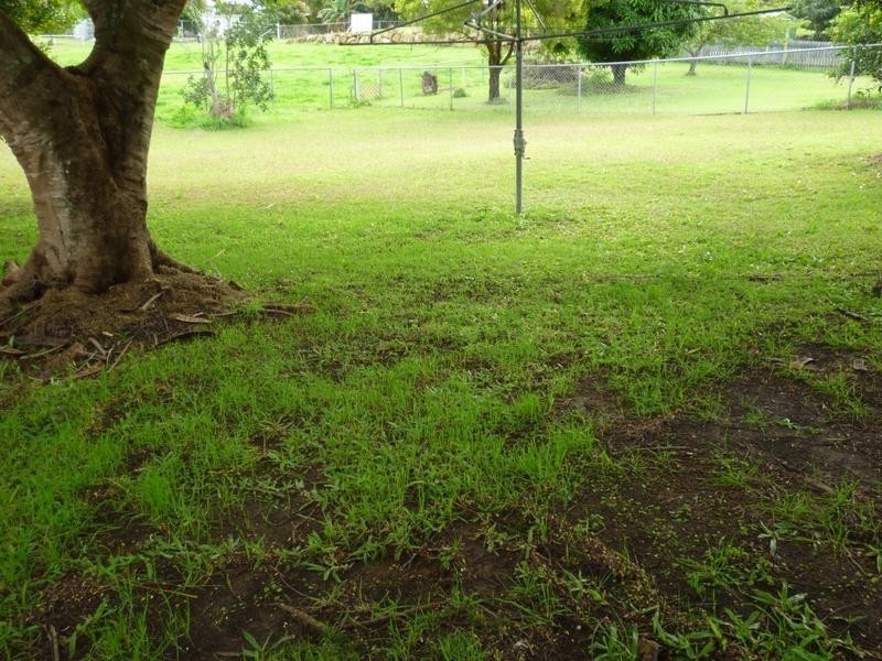 87 Cothill Road, Silkstone QLD 4304