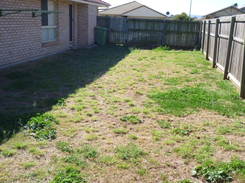 61 Banksia Drive, Raceview QLD 4305