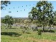 117 Coopers Road, Willowbank QLD 4306