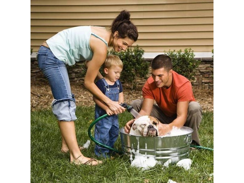 Lot 67 Thagaste, Augustine Heights QLD 4300