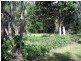 19 Sydney Street, Brassall QLD 4305