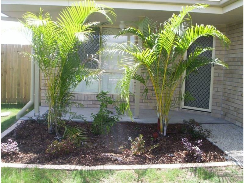 4 Tea Tree Place, Raceview QLD 4305