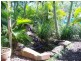 Basin Pocket QLD 4305