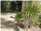 2 Cleary, Bundamba QLD 4304