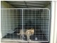 Fernvale QLD 4306