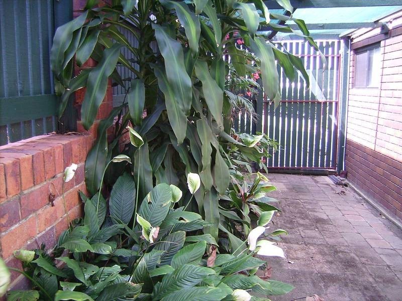 Albany Creek QLD 4035