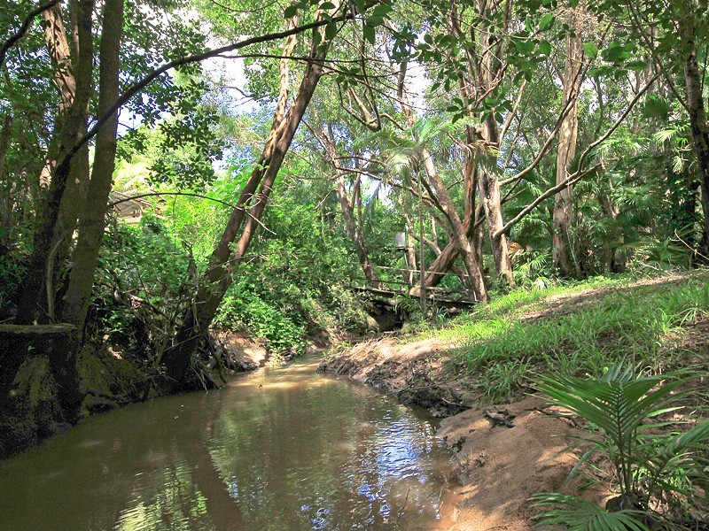 45 Morris Street, Dayboro QLD 4521