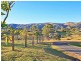 4 Toby Court, Dayboro QLD 4521