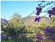 4 Toby Court, Dayboro QLD 4521