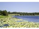 19 Brownell Street, Warner QLD 4500