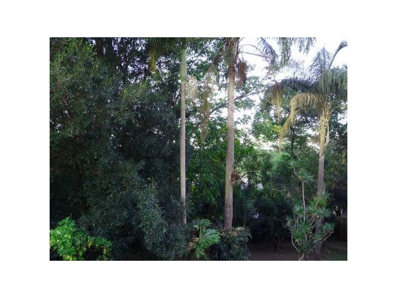 Eatons Hill QLD 4037