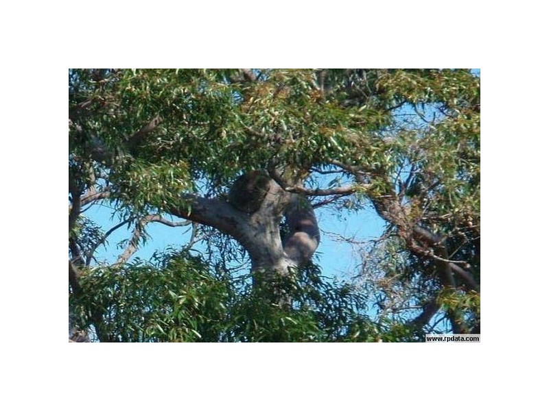 Eatons Hill QLD 4037