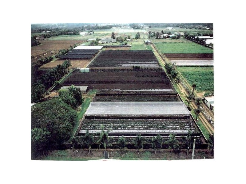 Rochedale QLD 4123