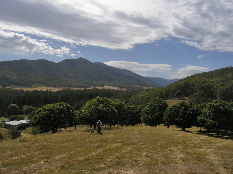 Lot 1, 462 Great Alpine Road, Bright VIC 3741