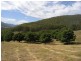 Lot 1, 462 Great Alpine Road, Bright VIC 3741