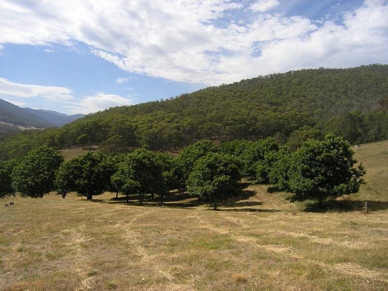 Lot 1, 462 Great Alpine Road, Bright VIC 3741