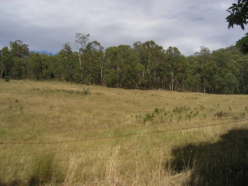 Lot 1, 462 Great Alpine Road, Bright VIC 3741