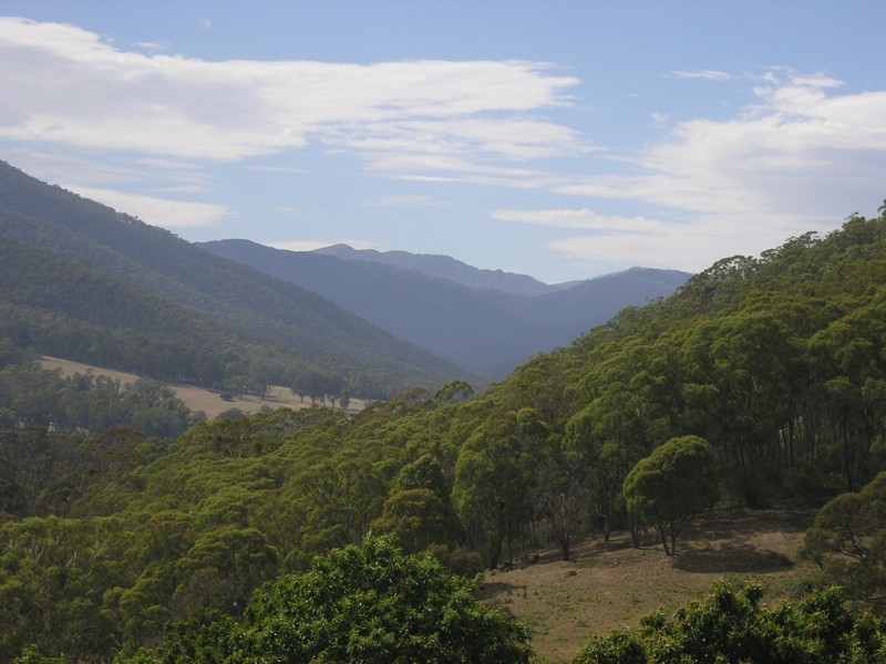 Lot 1, 462 Great Alpine Road, Bright VIC 3741