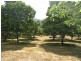 Lot 1, 462 Great Alpine Road, Bright VIC 3741