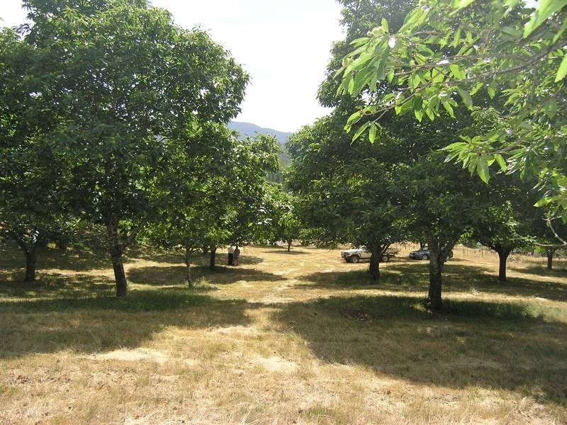 Lot 1, 462 Great Alpine Road, Bright VIC 3741