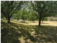 Lot 1, 462 Great Alpine Road, Bright VIC 3741