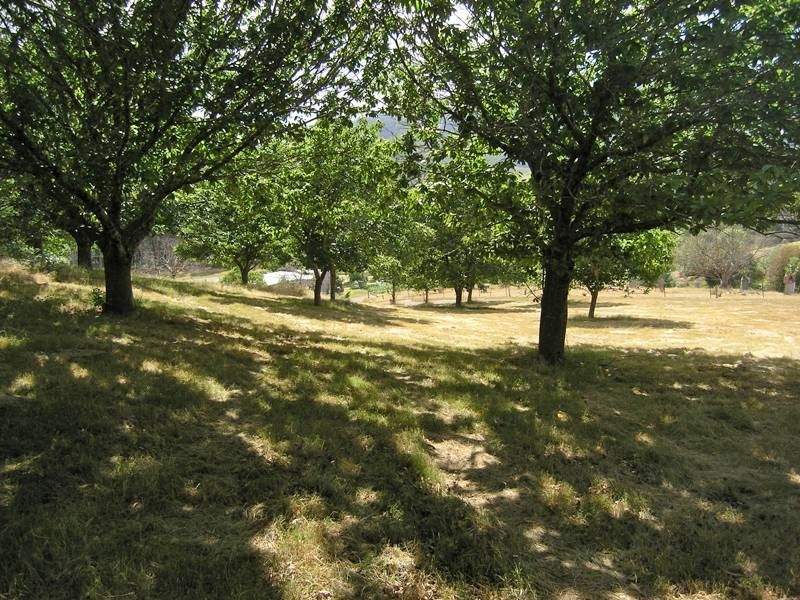 Lot 1, 462 Great Alpine Road, Bright VIC 3741