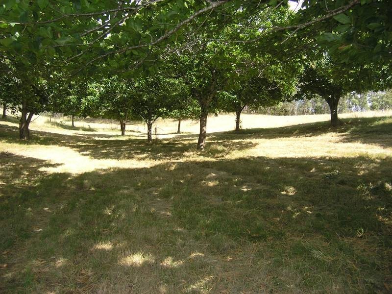 Lot 1, 462 Great Alpine Road, Bright VIC 3741