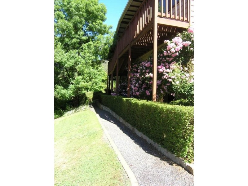 166 Delany Avenue, Bright VIC 3741