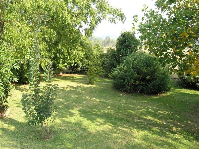 614 Buffalo River Road, Buffalo River VIC 3737