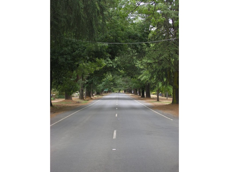 80 Delany Avenue, Bright VIC 3741