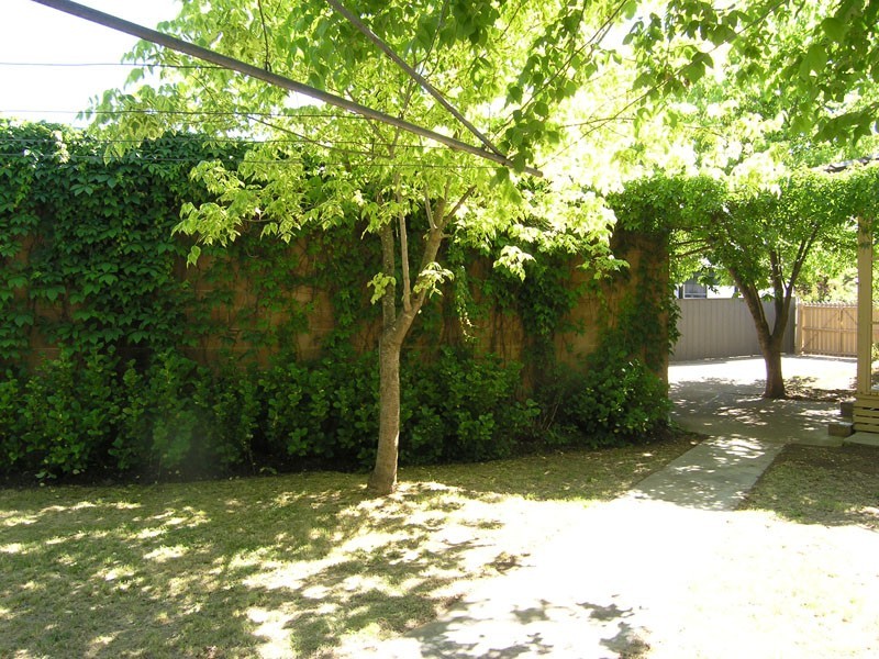 17 Thompson Street, Bright VIC 3741