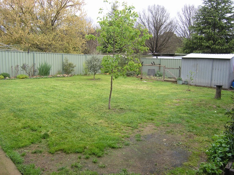 9 Thompson Street, Bright VIC 3741