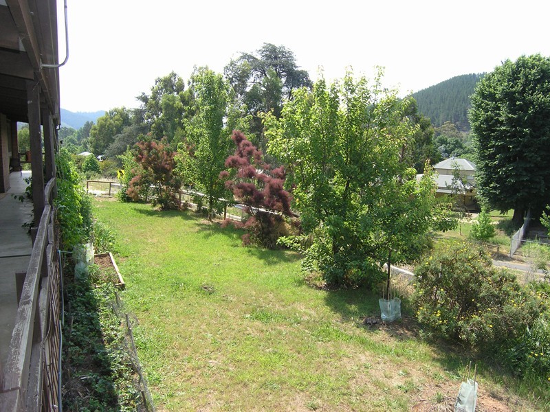 23 Mill Road, Bright VIC 3741