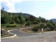 23 Mill Road, Bright VIC 3741
