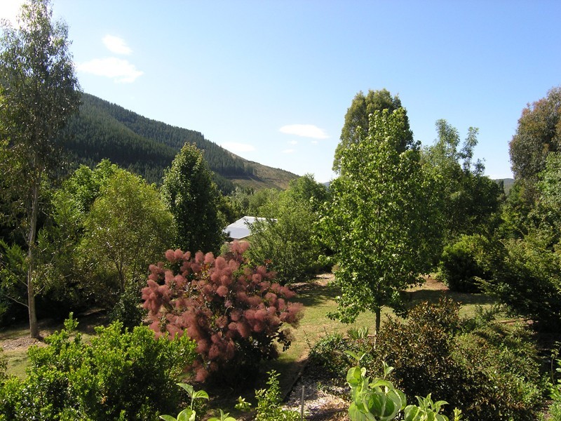 46 School Road, Wandiligong VIC 3744