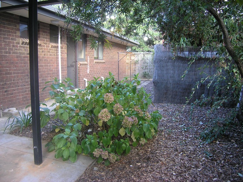 1/17 Wood St, Bright VIC 3741