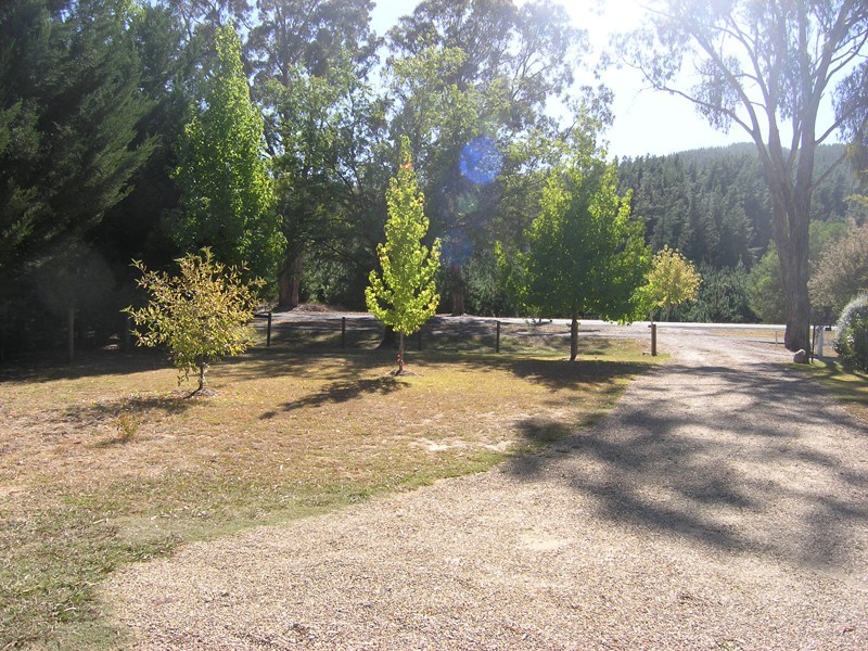 406 Back Porepunkah Road, Bright VIC 3741