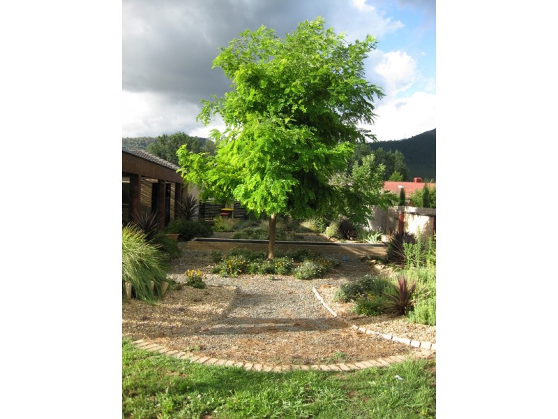 1 Louie Court, Bright VIC 3741