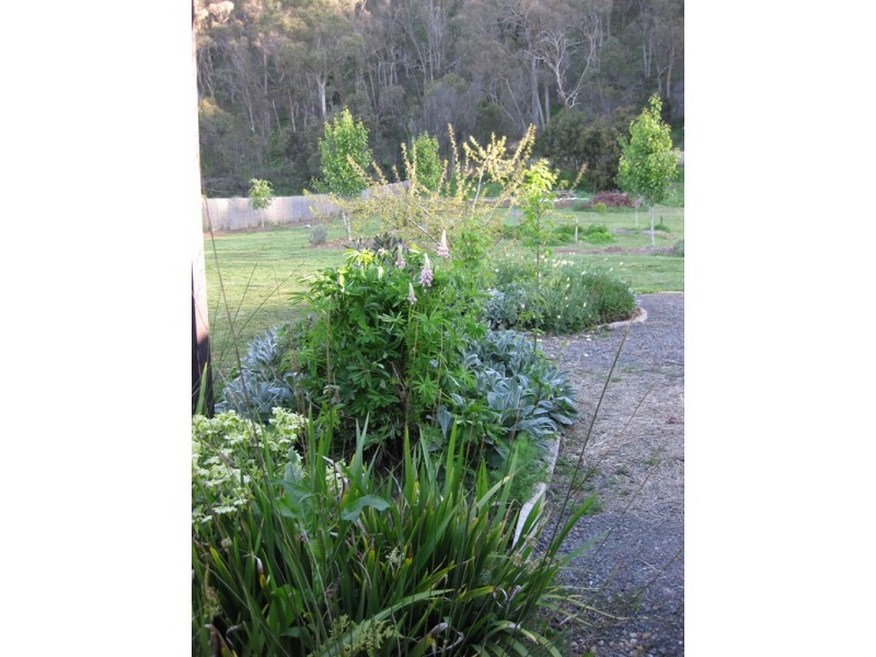 1 Louie Court, Bright VIC 3741