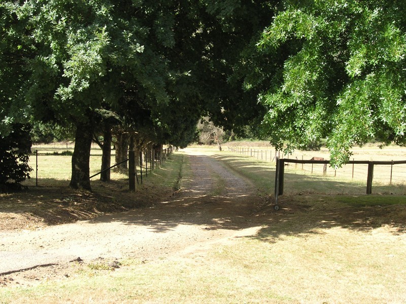 118 Growlers Creek Road, Wandiligong VIC 3744