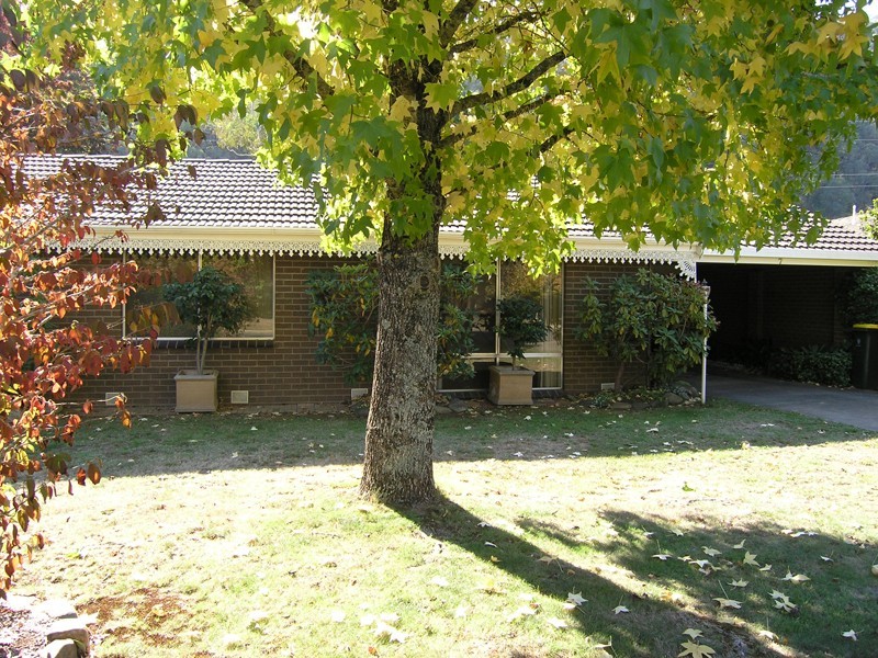 7 Spion Kopje Rd, Bright VIC 3741