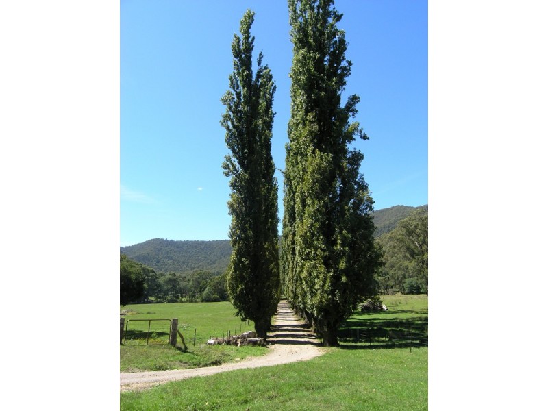 924 Morses Creek Road, Wandiligong VIC 3744