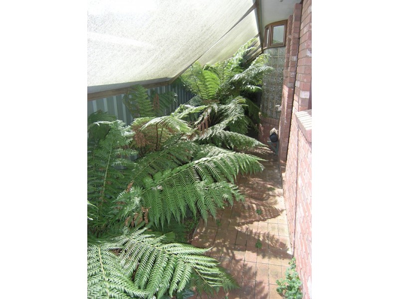 1 Racecourse Road, Bright VIC 3741