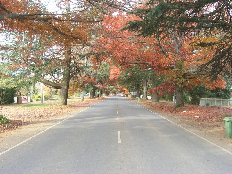 53 Delany Avenue, Bright VIC 3741