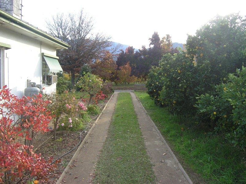 335 Buckland Valley Road, Buckland VIC 3740