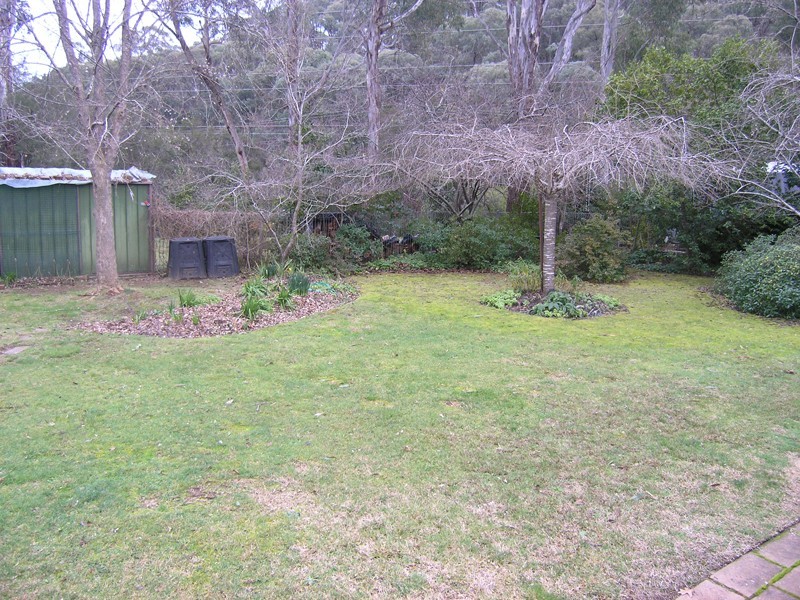 3 Spion Kopje Road, Bright VIC 3741